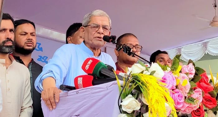 দেশকে অস্থিতিশীল করার ষড়যন্ত্রে মেতেছে একটি দল : মির্জা ফখরুল